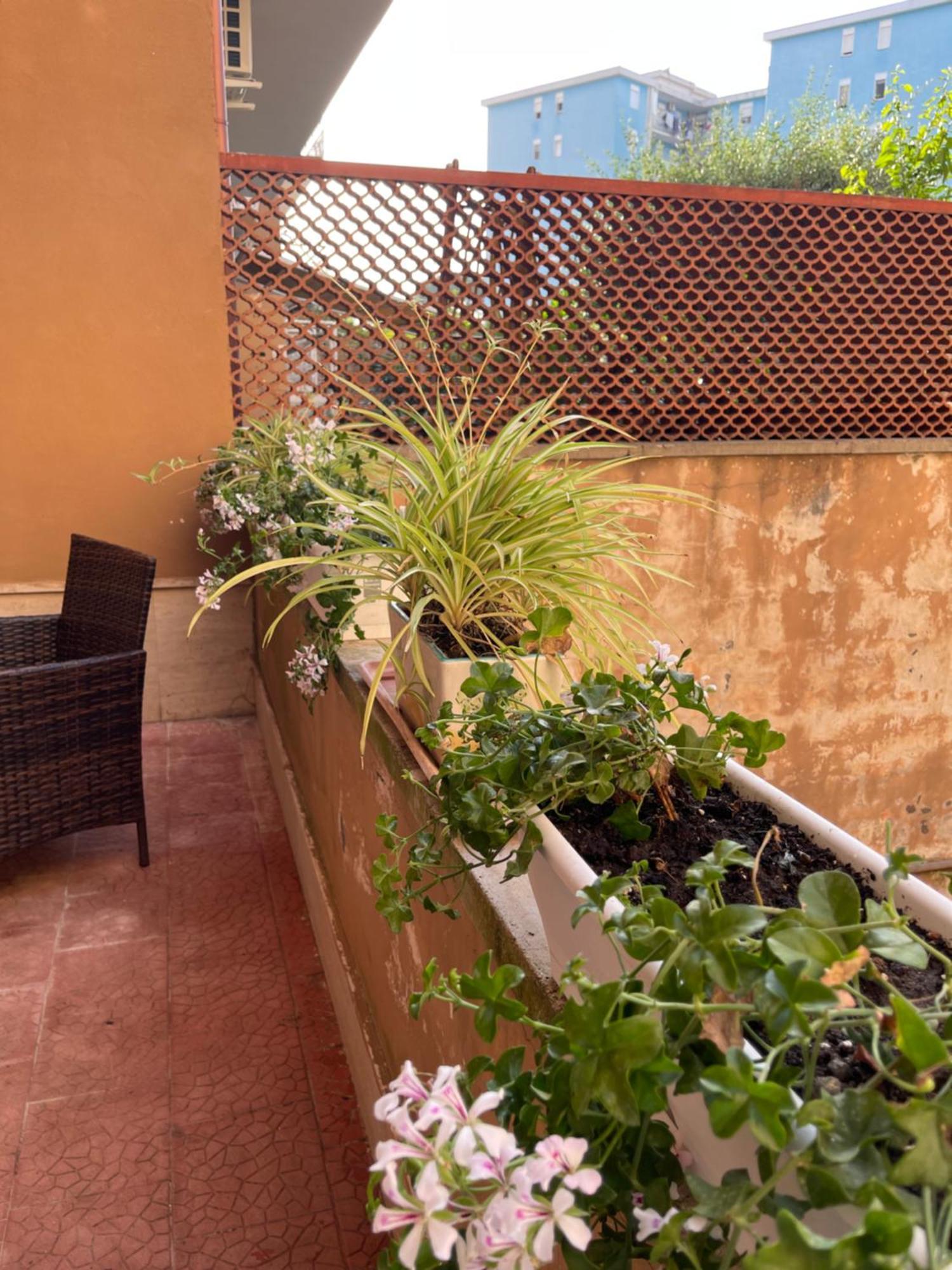 Oleander Apartment Castellammare di Stabia Bagian luar foto